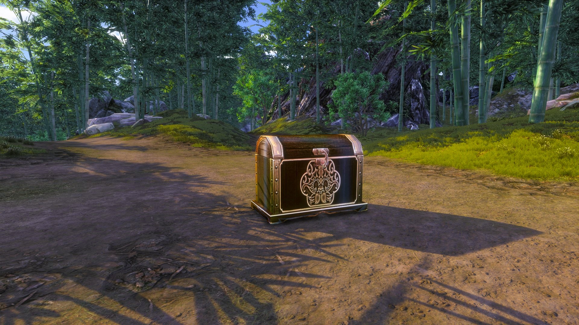 一張含有 樹狀, 戶外, 地面, 植物 的圖片AI 產生的內容可能不正確。